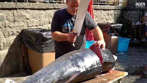 Fish Cutting in Sicily: Tuna and Swordfish