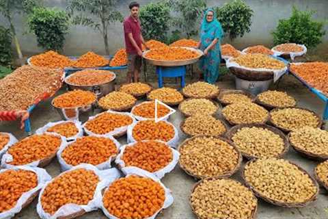 2000KG INDIAN SWEETS | VEG VILLAGE FOOD