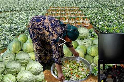 Vegetable Garden - Cabbage Harvest and Preserving for Winter