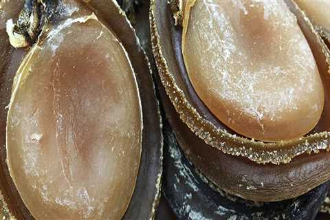 What brand of abalone is good?