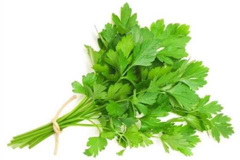 Health Benefits of Italian Parsley