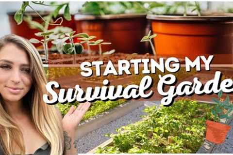 Starting My Survival Garden | Winter Sowing