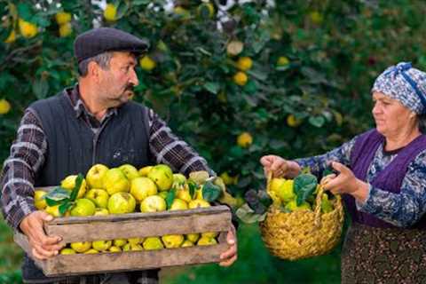 Cooking QUINCE DISHES in Season for a Perfectly Delicious Dinner