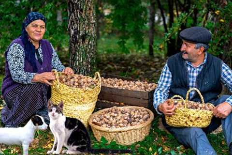 Harvesting Walnuts: How to Do It (& Make the Best Walnut Butter)!