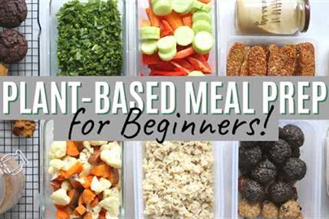 PLANT-BASED MEAL PREP for Beginners + Free PDF! Tasty Recipes & Ideas