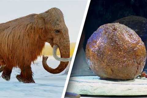 Mammoth Meatball Created With Extinct DNA