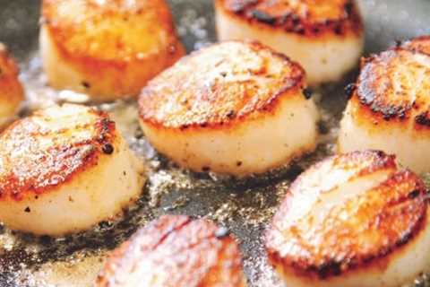 Are Dried Scallops a Nutritious Source of Folate?