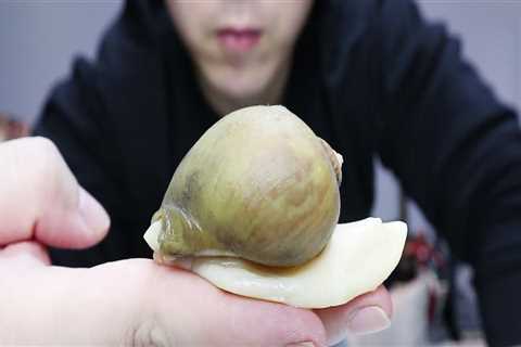 煮鲍鱼：完美菜肴指南