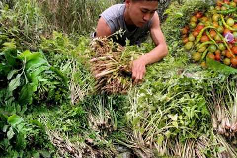 Lots of wild vegetables from the tropical forests/Nagaland village life @nagalocalproduction