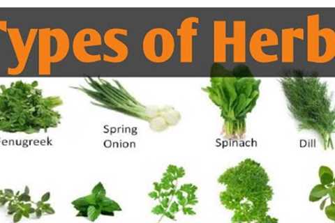 Types of Herbs|| different types of Herbs Names || Herbs ||  lunatic Cook