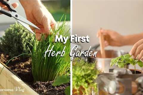 How to Build your First Herb Garden🌿& Start Using Fresh Herbs 🌿 in Delicious Recipes!