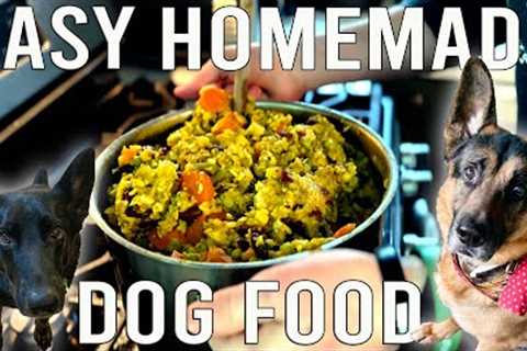 Homemade Dog Food on a Budget (Vegan Plant-Based)