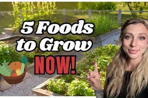 5 Foods to grow NOW | May Garden Tour | FREE Raised Bed Gardens