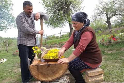 Making Natural Dandelion Flower Jam and Delicious Chicken Dish, Zəncirotu Mürəbbəsi Hazırladıq