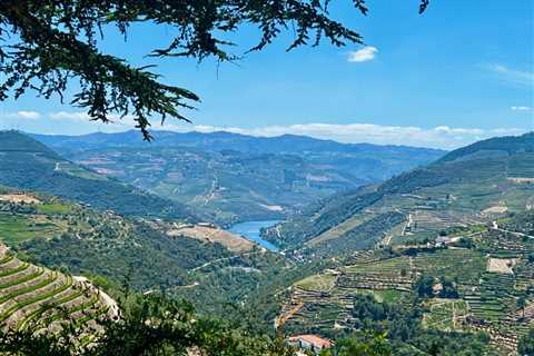 How to Go Around the Douro Valley?