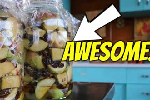 MIX APPLES with RAISINS and get this AWESOME DRINK!