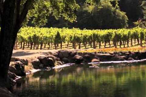 Napa Valley Rocks - FULL PRESENTATION 20:26