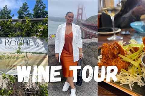 Travel Vlog/Napa and Sonoma Valley Wine Tour/Birthday Trip/San Francisco/sheisfab