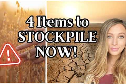 4 Items to Stockpile Now | AUGUST 2023 FOOD SHORTAGES! 🚨