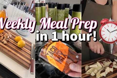 ONE HOUR MEAL PREP! ⏰ Easy Breakfast, Lunch & Dinner High Protein Plant Based Prep Ideas