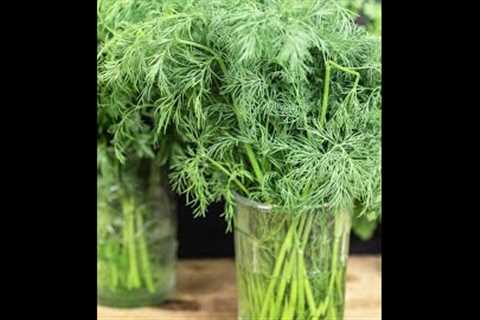 How to Store Herbs so they last! #shorts