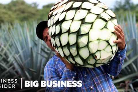 Mezcal Is The Fastest-Growing Liquor In The US. Why Aren''t Mexican Producers Cashing In?