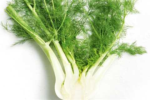 Fennel - Unlocking the Anise-Like Flavors!