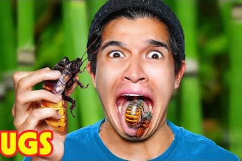 Eating Gourmet Bugs