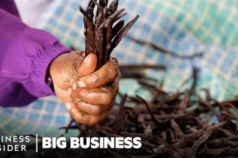 Vanilla Is The 2nd Most Expensive Spice. So Why Do Madagascar''s Farmers Live In Poverty?