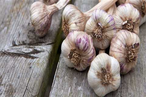 Garlic: Everything You Need to Know