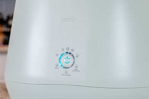 Lomi Bloom: The Perfect Countertop Composter