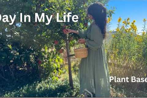 Day In My Life / What I Eat In A Day / Plant Based