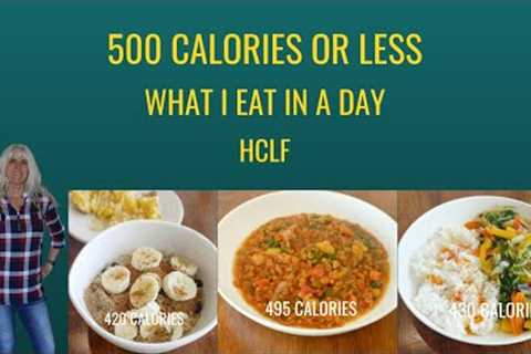 500 Calories Or Less / What I Eat In A Day / HCLF