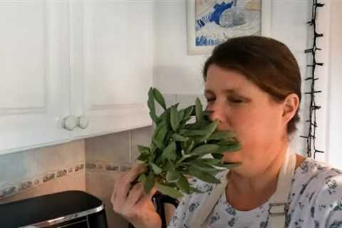 1st time using the DEHYDRATE function on the AIRFRYER - drying SAGE