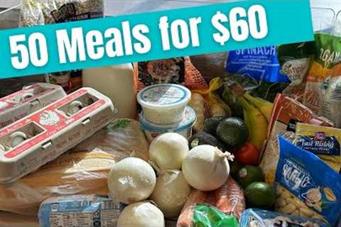 50 Meals for $60 | Quick and EASY Meals | A Budget Friendly Meal Plan | Emergency Grocery Budget