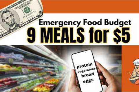 EMERGENCY BUDGET MEALS | BREAKFAST, LUNCH, & DINNER for 3 DAYS for $5