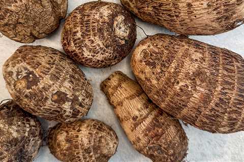 What is Taro Root?