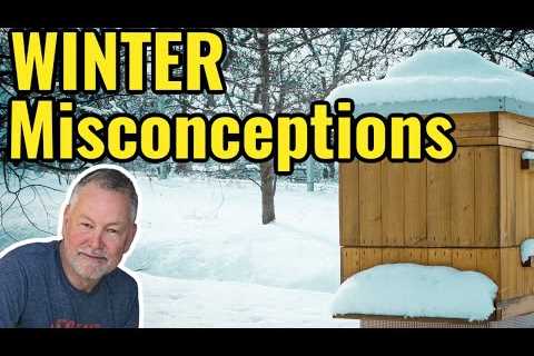 Beekeeping | Winter Misconceptions