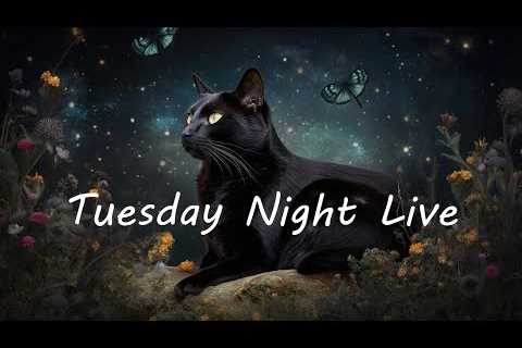 Tuesday Night Live