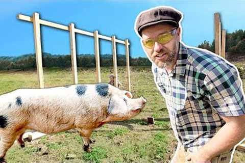 This Pig Shelter Will Make Compost NEXT to the Garden