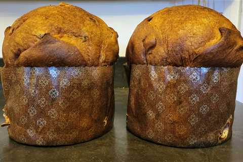 Panettone Questions