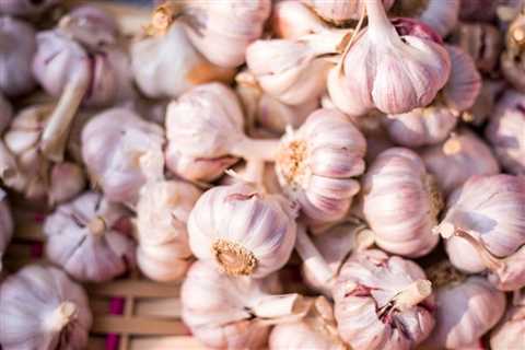 Which Garlic is Best for Health? Expert Advice Revealed - Flank Waltham