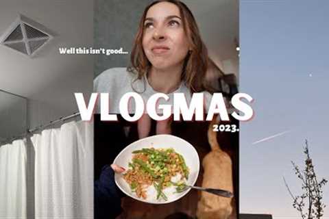 VLOGMAS 2023 🎄Easy StirFry Recipe + Bathroom Leak disaster...