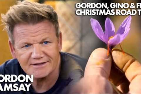 The Herb More Expensive Than Gold! | Gordon, Gino and Fred's Christmas Road Trip