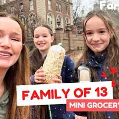 Family of 13 ❤️ Mini Grocery Haul 🍏🍆 Farmer''s Market (NYC)