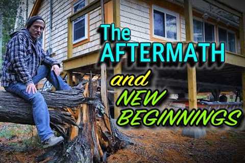 The Aftermath and New Beginnings