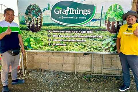 Success Story: In Less than a Year, Sila na ang Pinakamalaking Vegetable Nursery sa Southern Luzon!