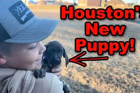 Houston''s New PUPPY!