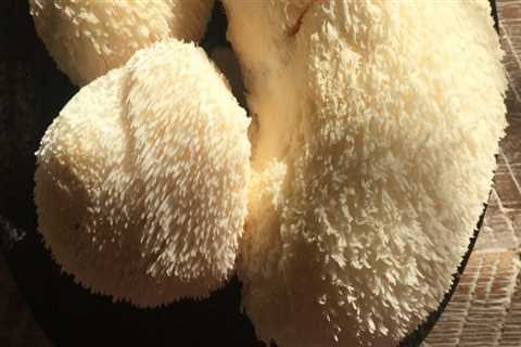 Lion's Mane Mushrooms: A Delicious Addition to Chinese Cooking