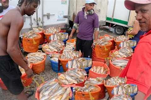 BIGGEST FISH MARKET Shopping in GUYANA